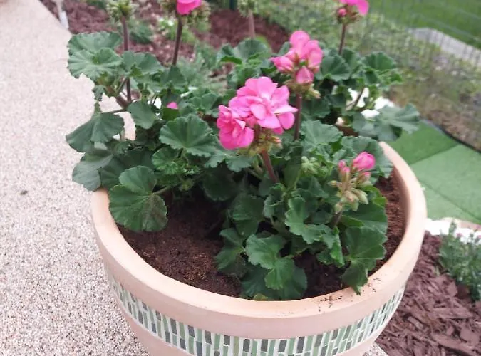 Nabrezi Appartement Beroun (Central Bohemian)